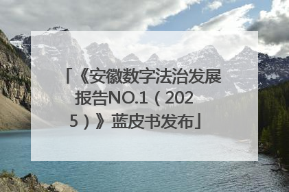 《安徽数字法治发展报告NO.1（2025）》蓝皮书发布