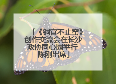 《铜官不止窑》创作交流会在长沙政协同心园举行 陈刚出席