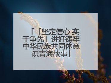 「坚定信心 实干争先」讲好铸牢中华民族共同体意识青海故事
