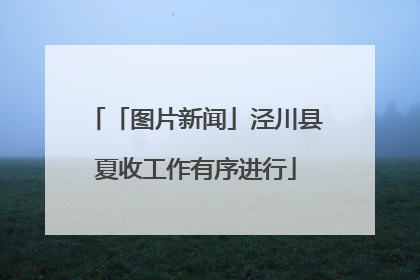「图片新闻」泾川县夏收工作有序进行