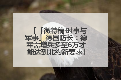 「微特稿·时事与军事」德国防长：德军需增兵多至6万才能达到北约新要求
