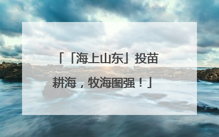「海上山东」投苗耕海，牧海图强！