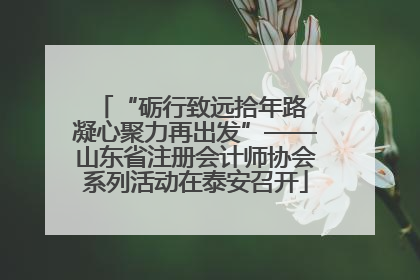 “砺行致远拾年路 凝心聚力再出发”——山东省注册会计师协会系列活动在泰安召开