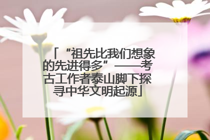 “祖先比我们想象的先进得多”——考古工作者泰山脚下探寻中华文明起源