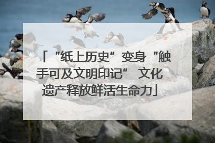 “纸上历史”变身“触手可及文明印记” 文化遗产释放鲜活生命力