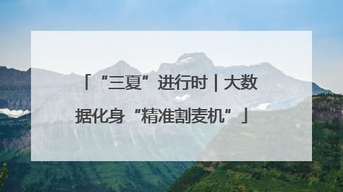 “三夏”进行时｜大数据化身“精准割麦机”