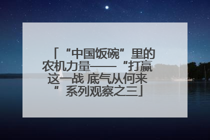 “中国饭碗”里的农机力量——“打赢这一战 底气从何来”系列观察之三