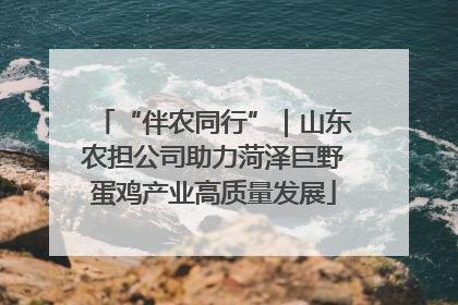 “伴农同行”｜山东农担公司助力菏泽巨野蛋鸡产业高质量发展