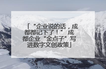 “企业说的话，成都都记下了！” 成都企业“金点子”写进数字文创政策
