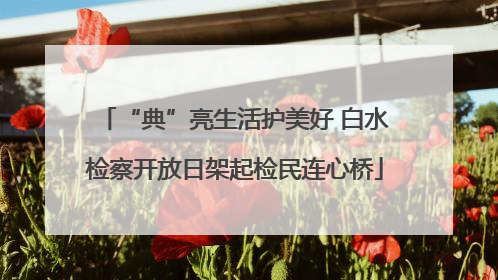 “典”亮生活护美好 白水检察开放日架起检民连心桥