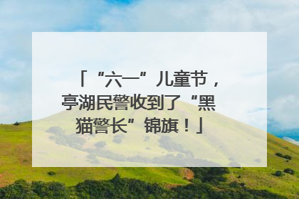 “六一”儿童节，亭湖民警收到了“黑猫警长”锦旗！