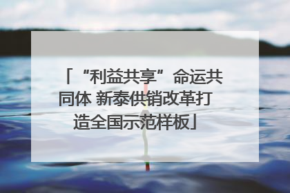 “利益共享”命运共同体 新泰供销改革打造全国示范样板