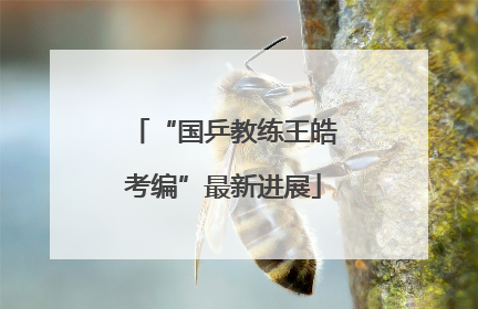 “国乒教练王皓考编”最新进展
