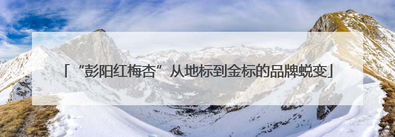 “彭阳红梅杏”从地标到金标的品牌蜕变