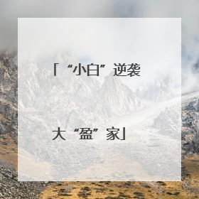 “小白”逆袭大“盈”家