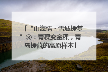 “山海情・雪域援梦”⑧：青稞变金稞，青岛援藏的高原样本