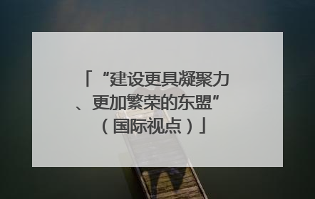 “建设更具凝聚力、更加繁荣的东盟”（国际视点）