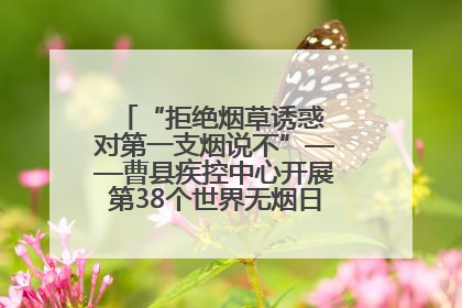 “拒绝烟草诱惑 对第一支烟说不”——曹县疾控中心开展第38个世界无烟日科普宣传活动