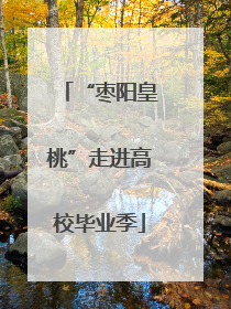 “枣阳皇桃”走进高校毕业季