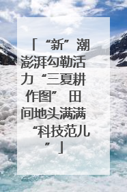 “新”潮澎湃勾勒活力“三夏耕作图” 田间地头满满“科技范儿”