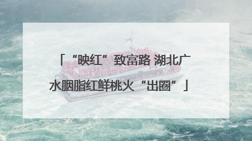 “映红”致富路 湖北广水胭脂红鲜桃火“出圈”