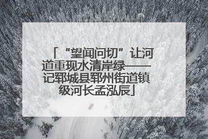 “望闻问切”让河道重现水清岸绿——记郓城县郓州街道镇级河长孟泓辰