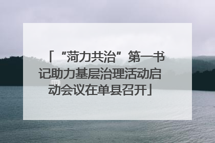 “菏力共治”第一书记助力基层治理活动启动会议在单县召开