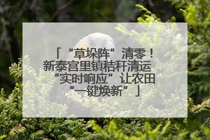 “草垛阵”清零！新泰宫里镇秸秆清运“实时响应”让农田“一键焕新”