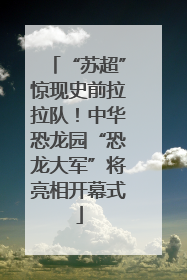“苏超”惊现史前拉拉队！中华恐龙园“恐龙大军”将亮相开幕式