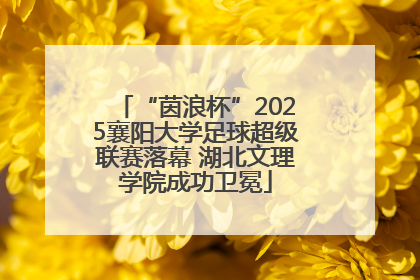 “茵浪杯”2025襄阳大学足球超级联赛落幕 湖北文理学院成功卫冕