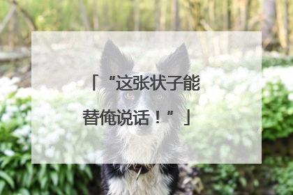 “这张状子能替俺说话！”