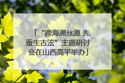 “跨海溯丝源 先蚕生古泫”主题研讨会在山西高平举办