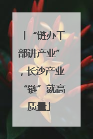 “链办干部讲产业”，长沙产业“链”就高质量