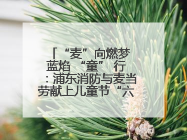 “麦”向燃梦 蓝焰 “童” 行：浦东消防与麦当劳献上儿童节“六一”礼