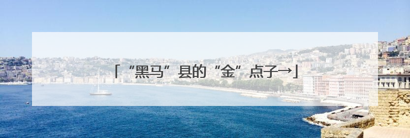 “黑马”县的“金”点子→