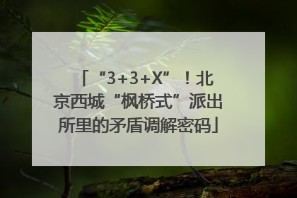 “3+3+X”！北京西城“枫桥式”派出所里的矛盾调解密码