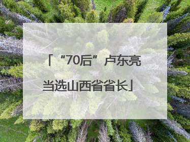 “70后”卢东亮当选山西省省长