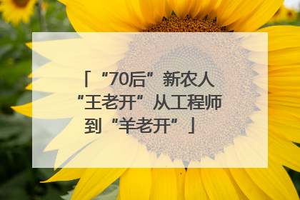 “70后”新农人“王老开”从工程师到“羊老开”