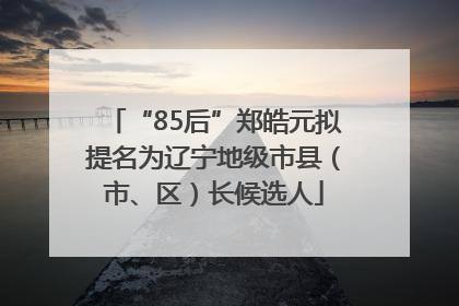 “85后”郑皓元拟提名为辽宁地级市县（市、区）长候选人