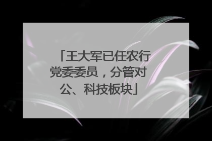 王大军已任农行党委委员，分管对公、科技板块