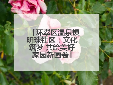 环翠区温泉镇明珠社区：文化筑梦 共绘美好家园新画卷