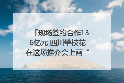 现场签约合作136亿元 四川攀枝花在这场推介会上画“图谱”列“清单”
