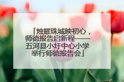 烛耀珠城映初心，师德报告启新程——五河县小圩中心小学举行师德报告会