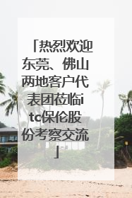 热烈欢迎东莞、佛山两地客户代表团莅临itc保伦股份考察交流