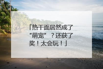 热干面居然成了“萌宠”？还获了奖！太会玩！