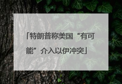 特朗普称美国“有可能”介入以伊冲突
