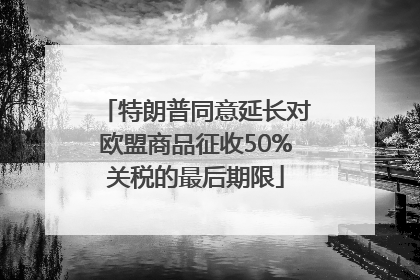 特朗普同意延长对欧盟商品征收50%关税的最后期限