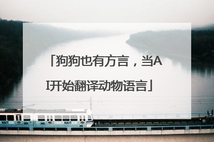 狗狗也有方言，当AI开始翻译动物语言
