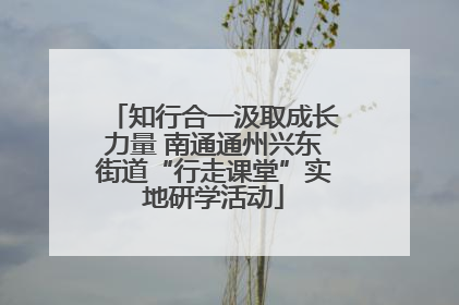 知行合一汲取成长力量 南通通州兴东街道“行走课堂”实地研学活动