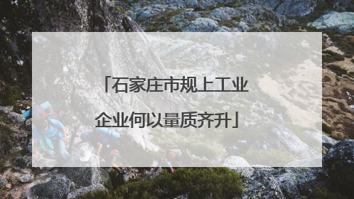 石家庄市规上工业企业何以量质齐升